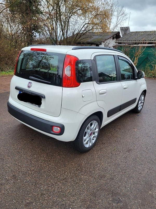 Gebraucht Fiat Panda 69 PS (50 kW) 2012 Weiß Kleinwagen