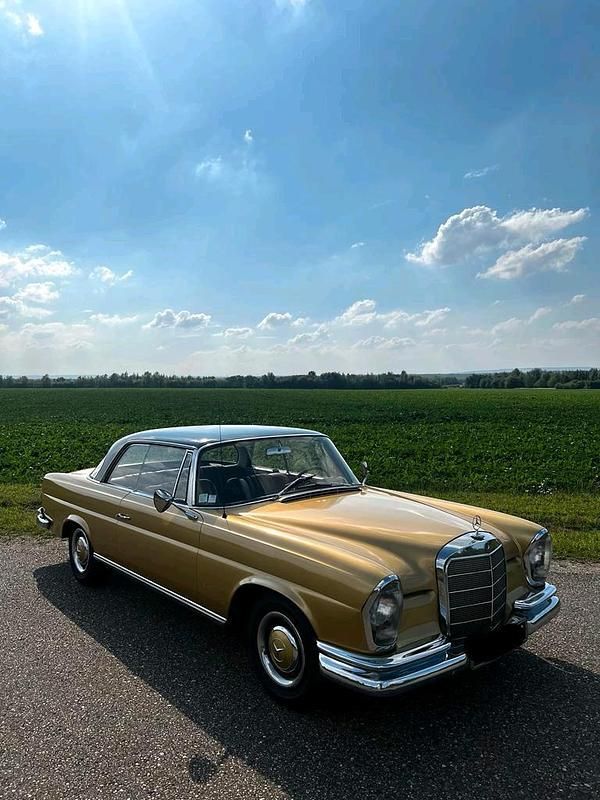 Gebraucht Mercedes 250 150 PS (110 kW) 1966 Gold Coupé