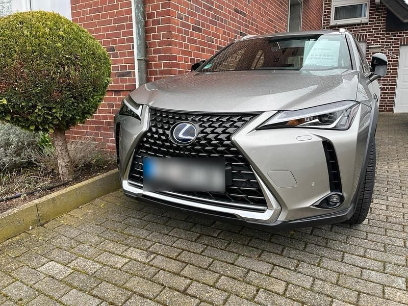 Gebraucht Lexus UX 250h Launch Edition 184 PS (135 kW) 2020 Silber SUV
