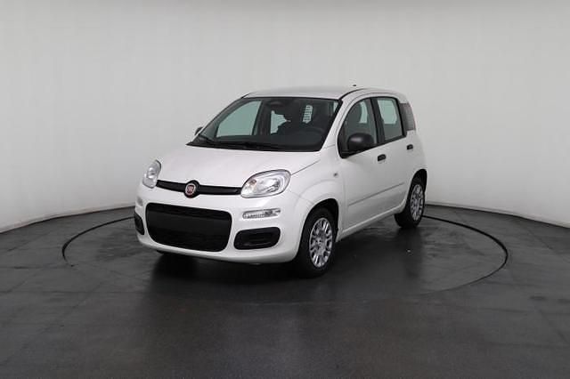 Neu Fiat Panda 69 PS (50 kW) 2025 Weiß, weiß uni Kleinwagen