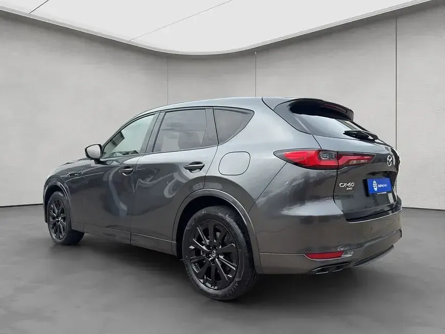 Gebraucht Mazda CX-60 Homura-Line 192 PS (141 kW) 2022 Grau SUV