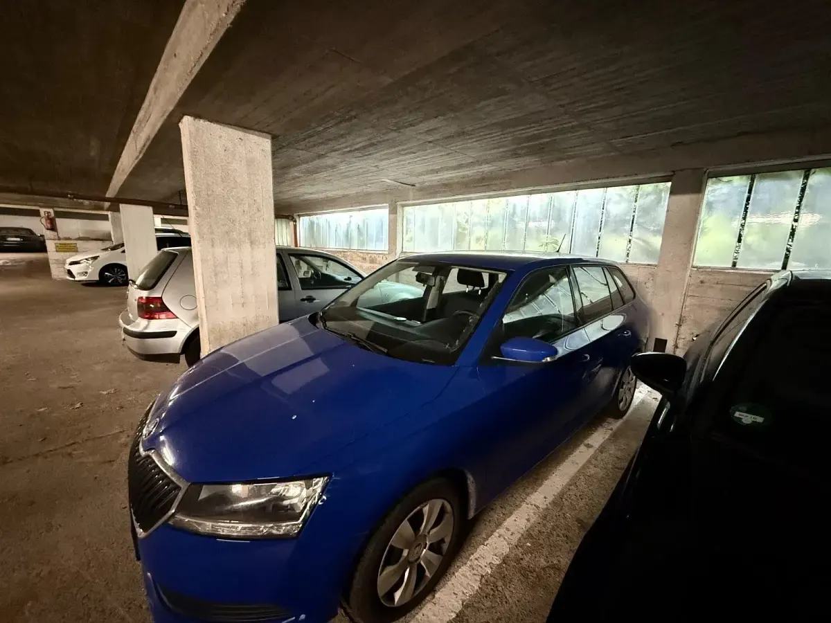 Gebraucht Skoda Fabia Active 95 PS (69 kW) 2019 Blau Kleinwagen
