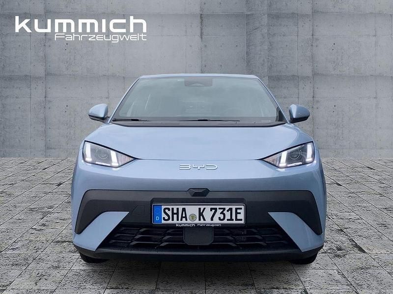 Neu BYD Dolphin Surf Boost 64 kW (88 PS) 2025 Blau Kleinwagen