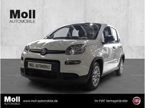 Neu Fiat Panda 69 PS (50 kW) 2025 Weiß (colore esterno (weiss)) Kleinwagen
