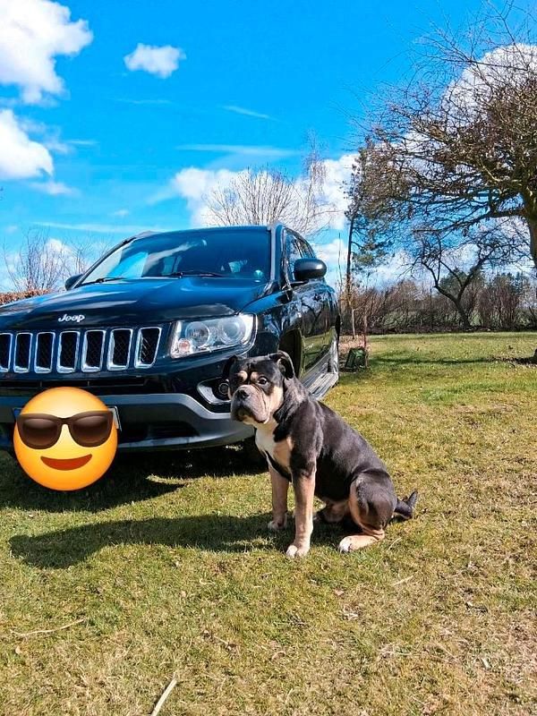 Second-hand Jeep Compass 156 CP (114 kW) 2013 Negru SUV