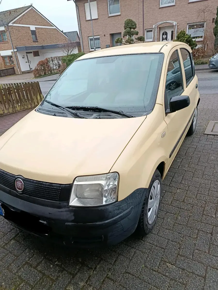 Usata Fiat Panda 2009 Utilitaria