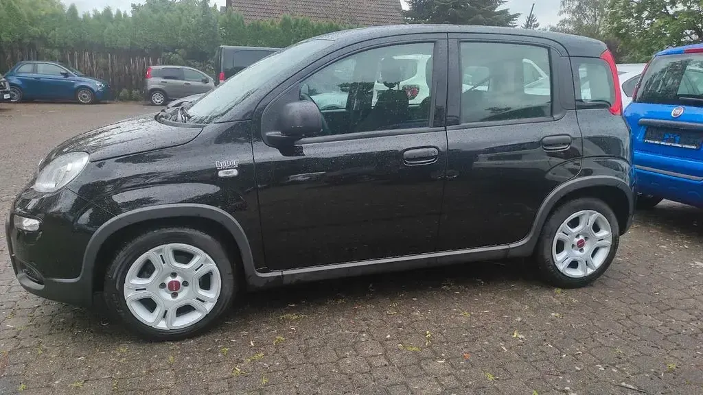 Gebraucht Fiat Panda 69 PS (50 kW) 2024 Schwarz Kleinwagen
