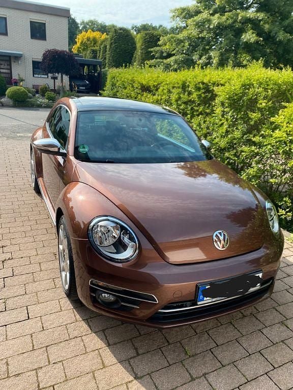 Braun Gebraucht 2017 VW Beetle Allstar Limousine | 15.900 € (Fairer Preis) - Bild 1/4