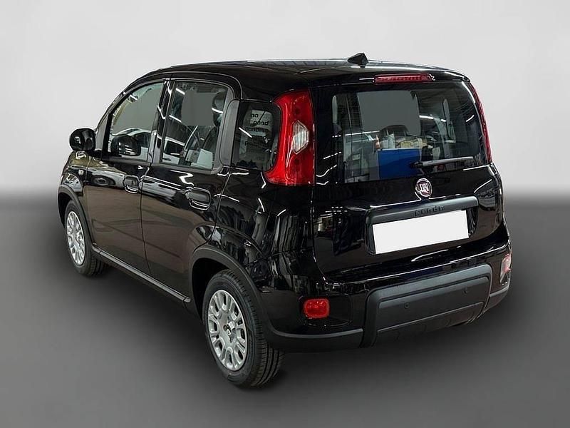 Gebraucht Fiat Panda 69 PS (50 kW) 2024 Schwarz Kleinwagen
