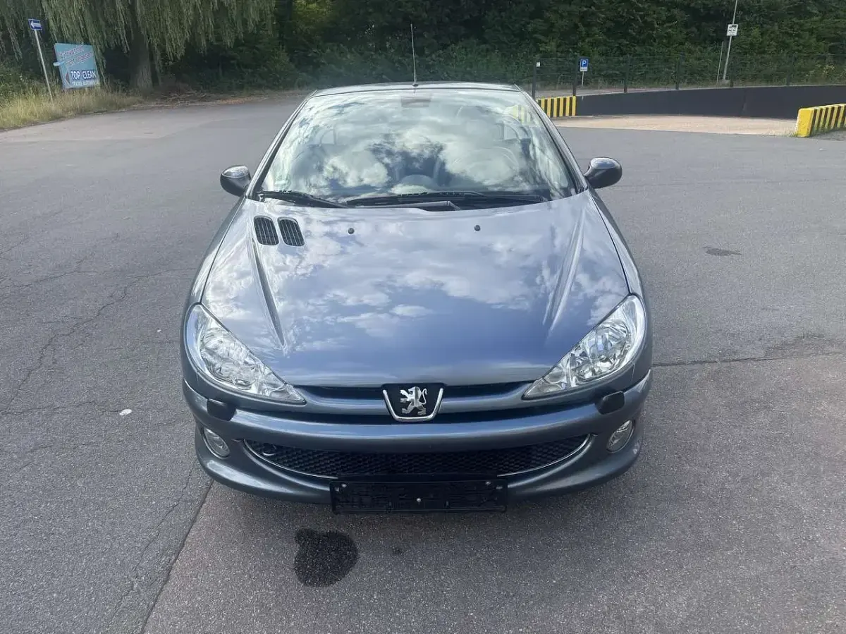 Gebraucht Peugeot 206 Platinum 109 PS (80 kW) 2005 Grau Cabrio