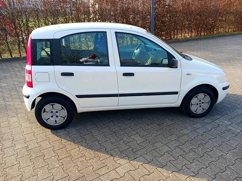 Gebraucht Fiat Panda 54 PS (39 kW) 2009 Weiß Kleinwagen