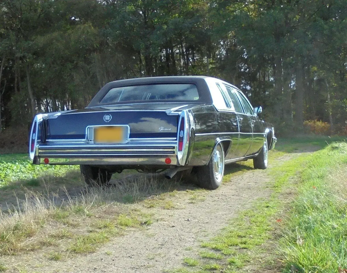 Gebraucht Cadillac Fleetwood 180 PS (132 kW) 1979 Schwarz Limousine