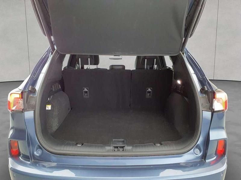 Gebraucht Ford Kuga ST-Line X 151 PS (111 kW) 2023 Blau SUV