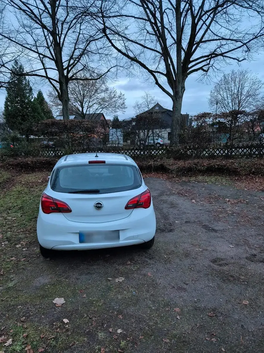Gebraucht Opel Corsa 69 PS (50 kW) 2016 Weiß Kleinwagen