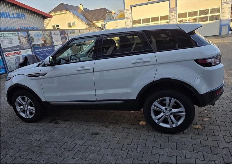 Gebraucht Land Rover Range Rover evoque 150 PS (110 kW) 2013 Weiß SUV