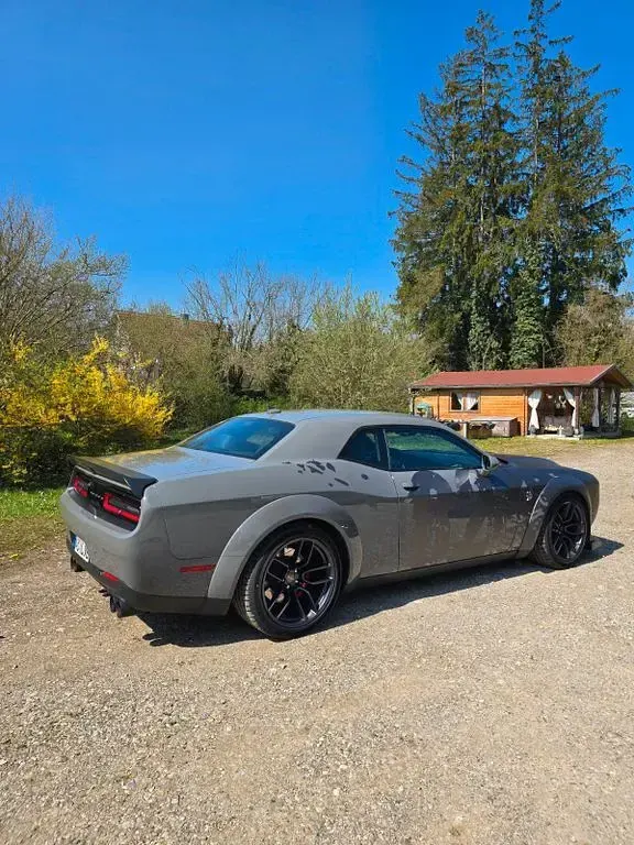 Gebraucht Dodge Challenger 717 PS (527 kW) 2020 Grau Coupé