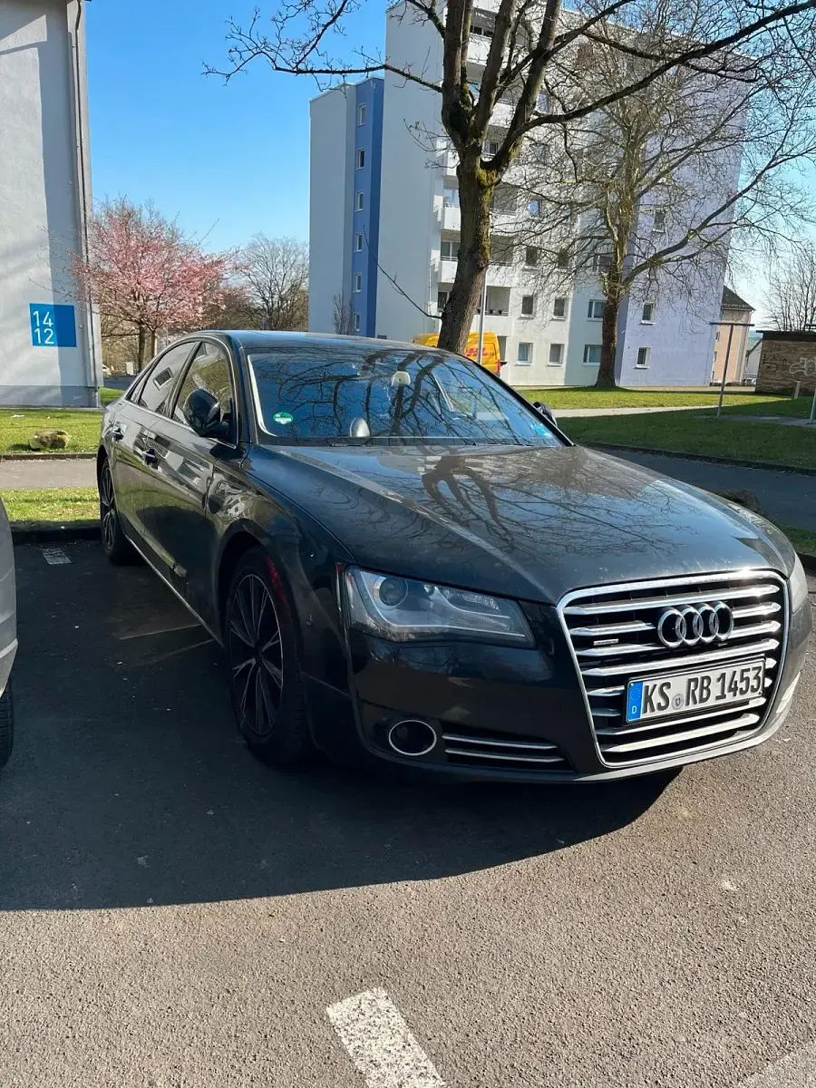 Usata Audi A8 250 CV (183 kW) 2013 Marrone Berlina