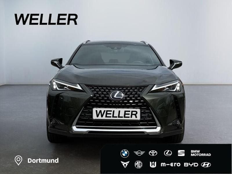 Gebraucht Lexus UX 250h 184 PS (135 kW) 2022 Gruen SUV
