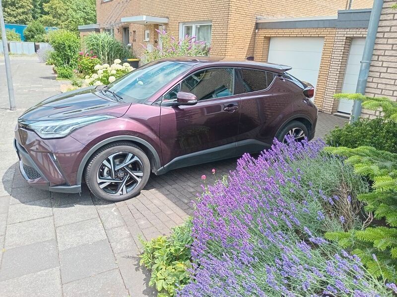Violet Gebraucht 2022 Toyota C-HR Team SUV | 18.400 € (Superpreis) - Bild 1/4