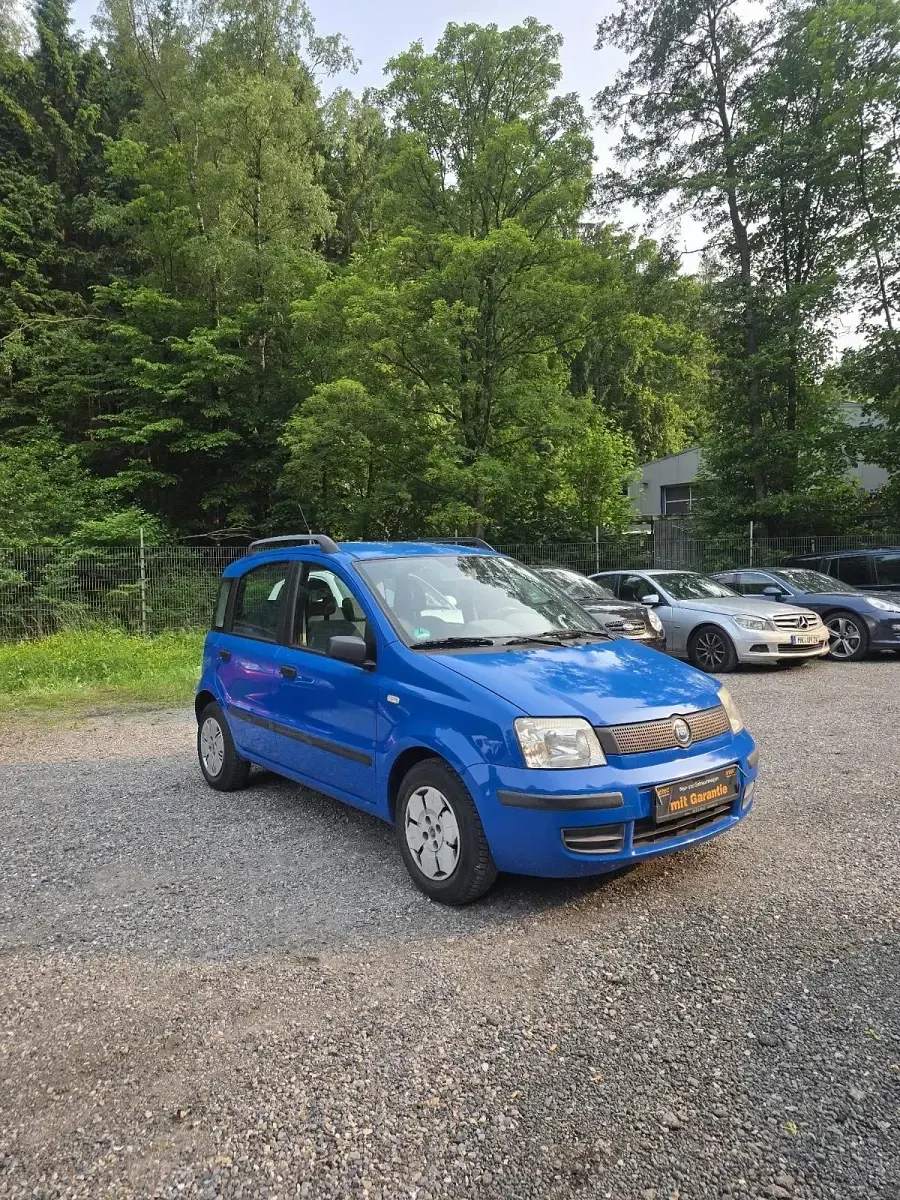 Gebraucht Fiat Panda Active 54 PS (39 kW) 2003 Blau Kleinwagen