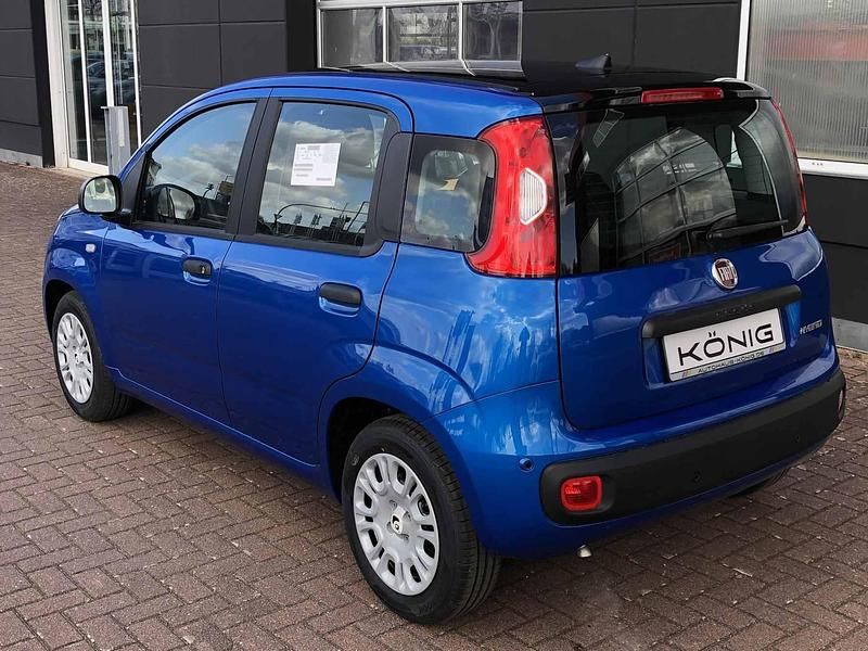 Neu Fiat Panda 69 PS (50 kW) 2026 Blau Kleinwagen