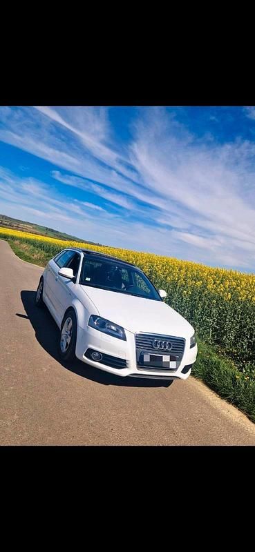 Gebraucht Audi A3 S-Line 160 PS (117 kW) 2009 Weiß Kleinwagen