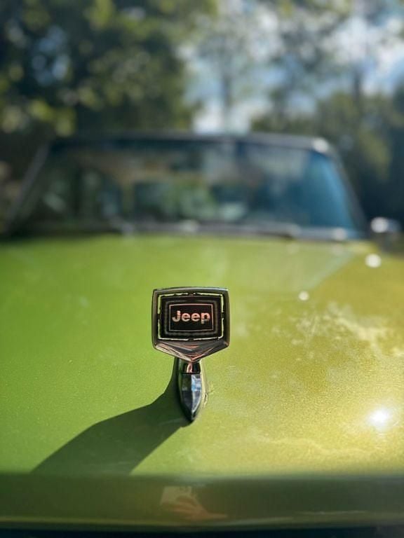 Gebraucht Jeep Wagoneer 173 PS (127 kW) 1972 Grün SUV