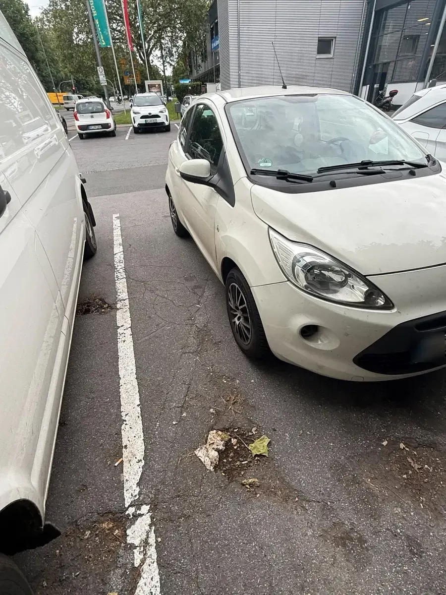 Gebraucht Ford Ka 75 PS (55 kW) 2012 Weiß Kleinwagen
