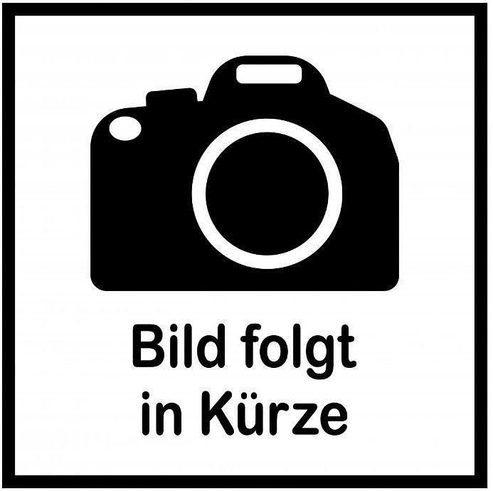 Weiß Gebraucht 2024 Ford Transit Trend Van / Kleinbus | 26.900 € (Superpreis) - Bild 1/1