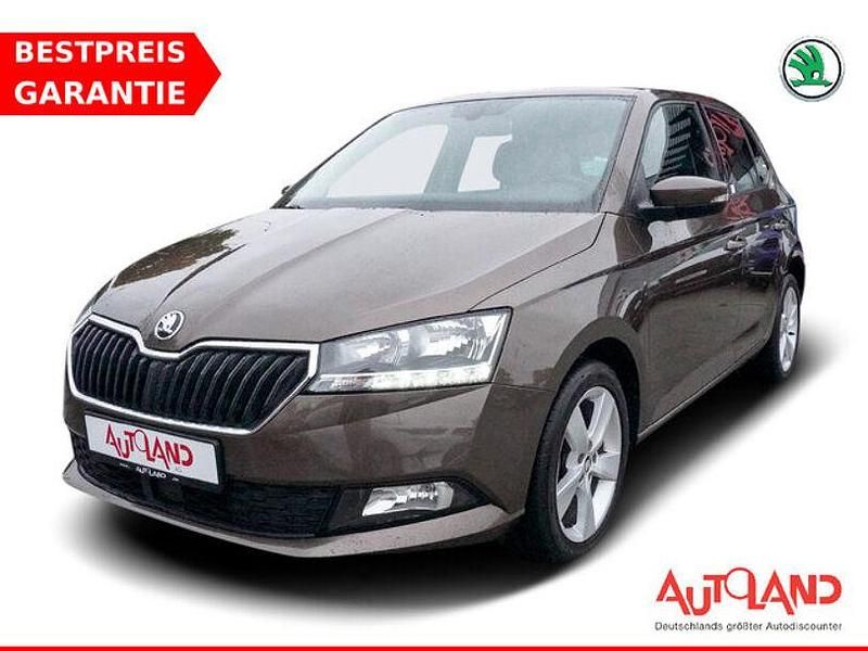 Braun Gebraucht 2019 Skoda Fabia Ambition Kleinwagen | 14.950 € (Teuer) - Bild 1/4