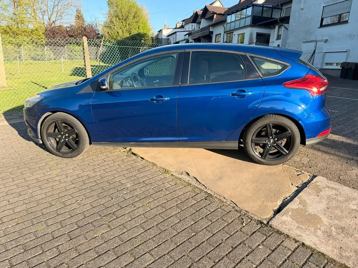 Usata Ford Focus 125 CV (91 kW) 2015 Blu Berlina