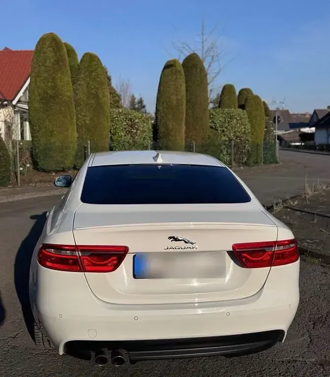 Gebraucht Jaguar XE R-Sport 179 PS (131 kW) 2019 Weiß Limousine