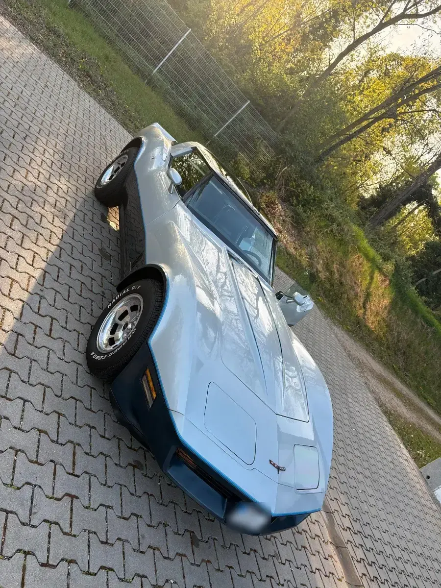 Gebraucht Corvette C3 190 PS (139 kW) 1981 Silber Coupé