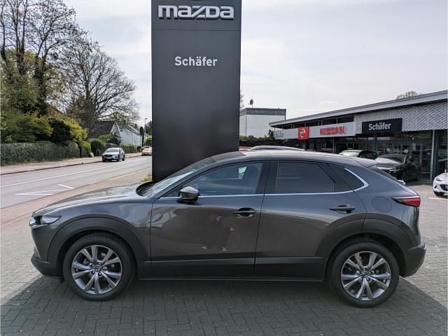 Gebraucht Mazda CX-30 Selection 150 PS (110 kW) 2020 Grau SUV