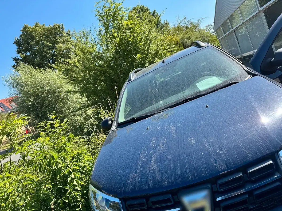 Gebraucht Dacia Logan 73 PS (53 kW) 2017 Blau Kombi