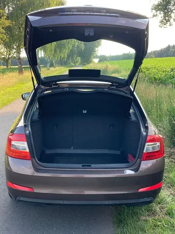 Gebraucht Skoda Octavia Active 86 PS (63 kW) 2014 Braun Kombi