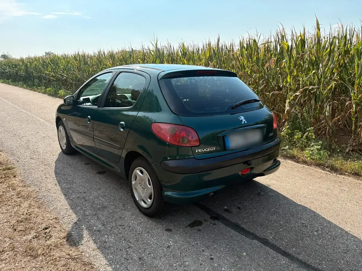 Gebraucht Peugeot 206 60 PS (44 kW) 2005 Grün Kleinwagen