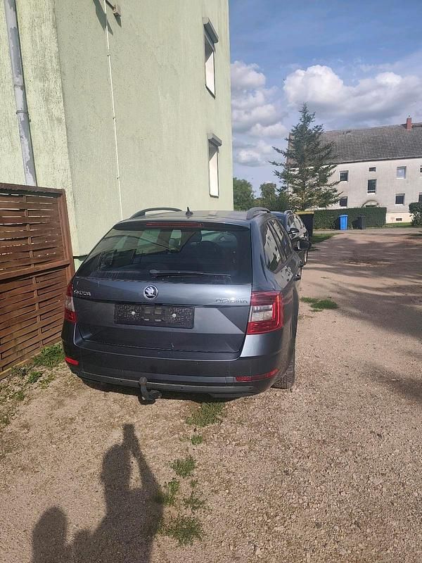 Gebraucht Skoda Octavia 116 PS (85 kW) 2018 Grau Kombi