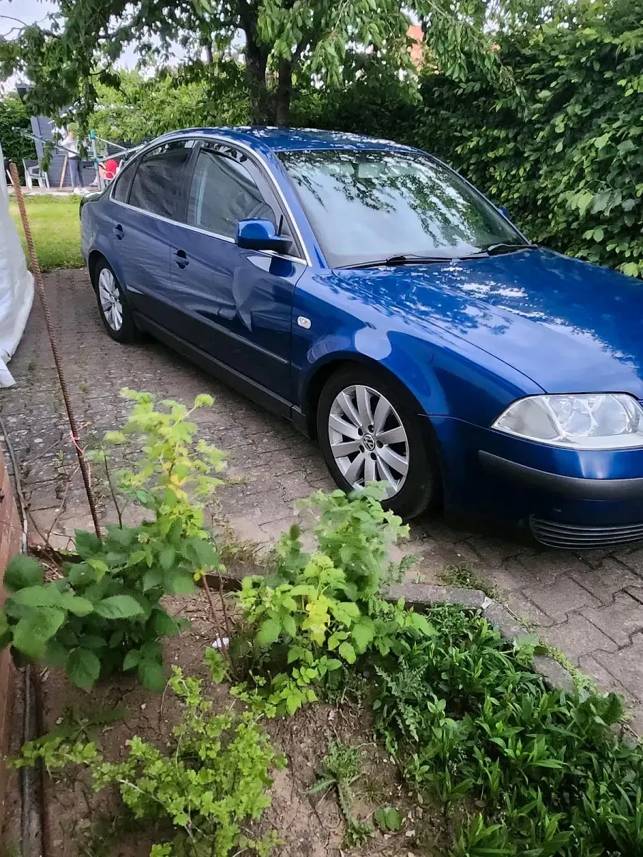 Gebraucht VW Passat 131 PS (96 kW) 2000 Blau Limousine