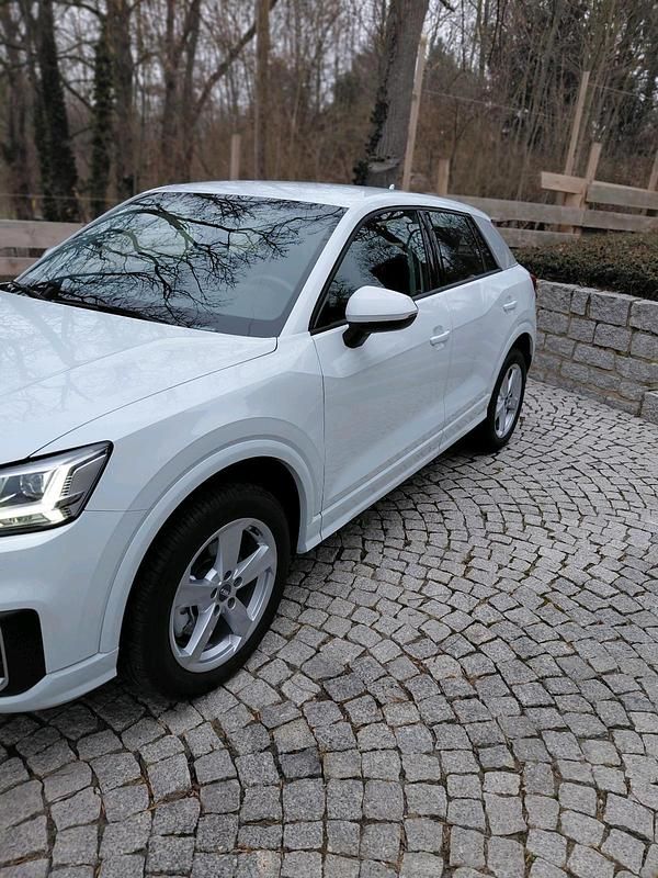 Gebraucht Audi Q2 Sport 150 PS (110 kW) 2019 Weiß SUV