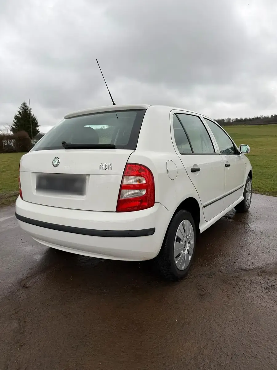 Gebraucht Skoda Fabia 54 PS (39 kW) 2004 Weiß Kleinwagen
