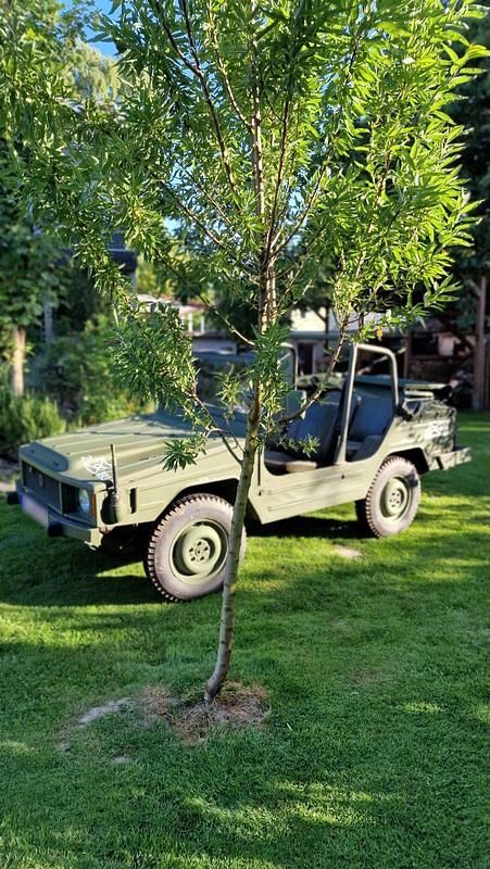 Gebraucht VW Iltis 55 PS (40 kW) 1979 Grün SUV