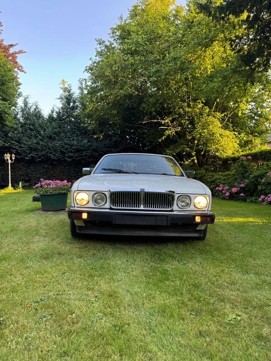 Gebraucht Jaguar XJ40 239 PS (175 kW) 1991 Weiß Limousine