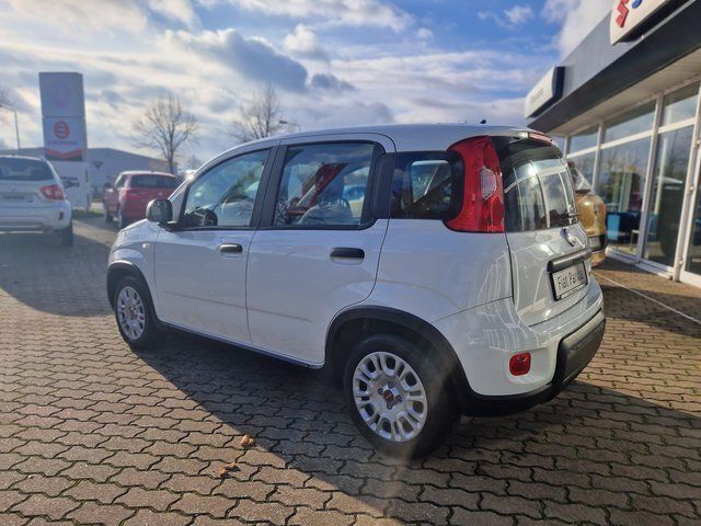 Gebraucht Fiat Panda 69 PS (50 kW) 2023 Weiß Kleinwagen