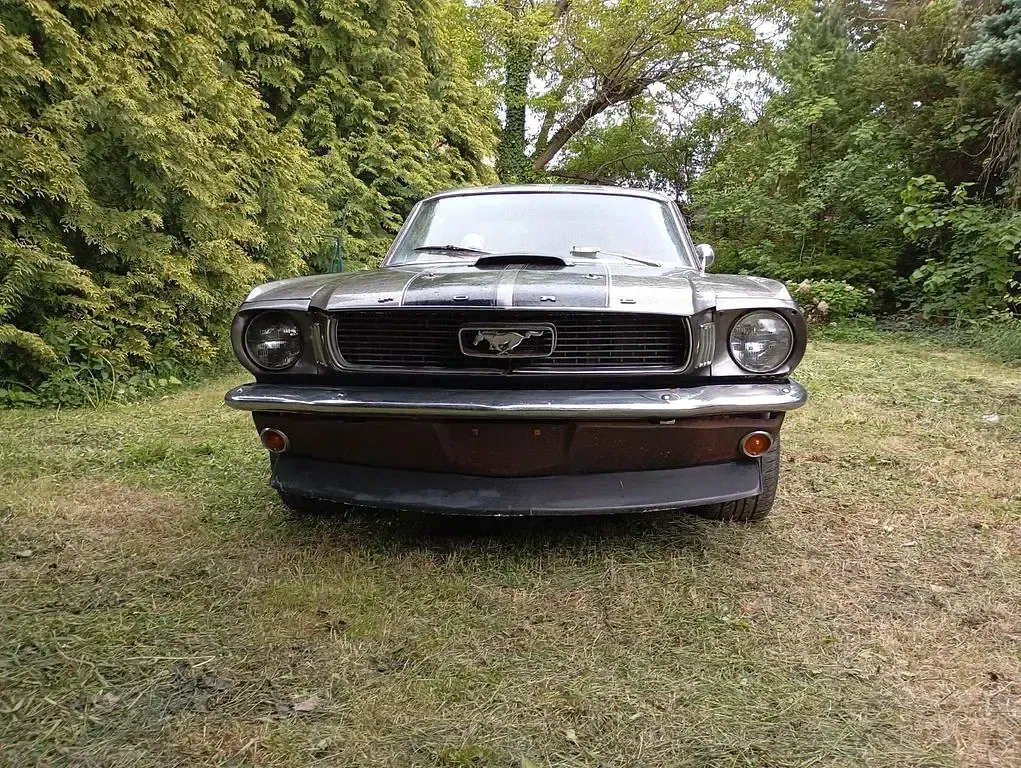 Gebraucht Ford V8 245 PS (180 kW) 1966 Schwarz