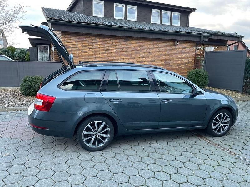 Gebraucht Skoda Octavia Drive 116 PS (85 kW) 2017 Grau Kombi