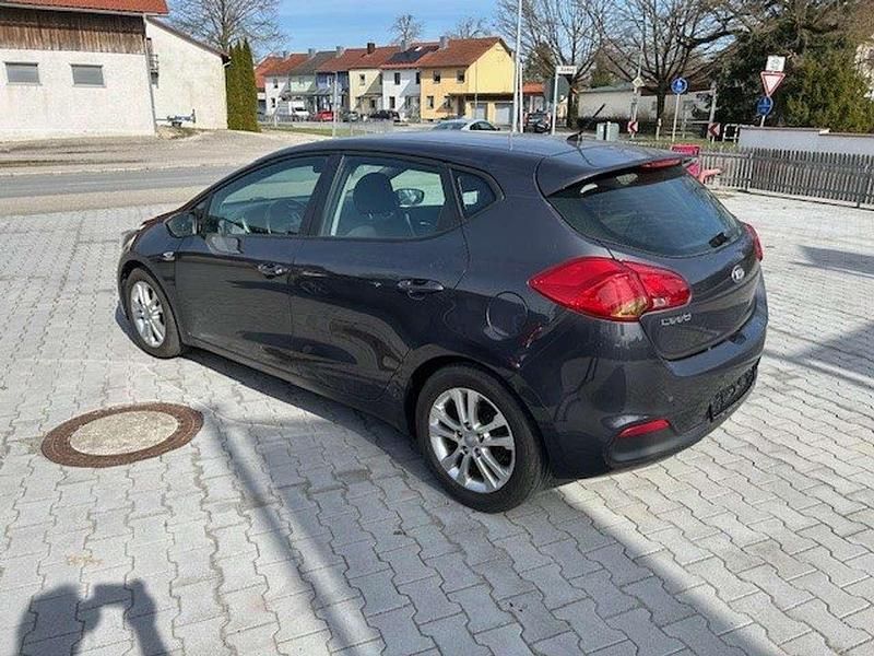 Gebraucht Kia Ceed Edition 7 99 PS (72 kW) 2013 (e5b) winchestergrau met. Kleinwagen