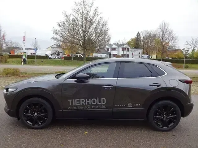 Gebraucht Mazda CX-30 Homura-Line 140 PS (102 kW) 2025 Machine gray SUV
