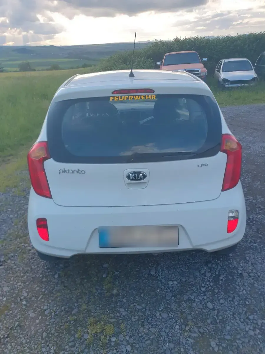 Gebraucht Kia Picanto 69 PS (50 kW) 2014 Weiß Kleinwagen