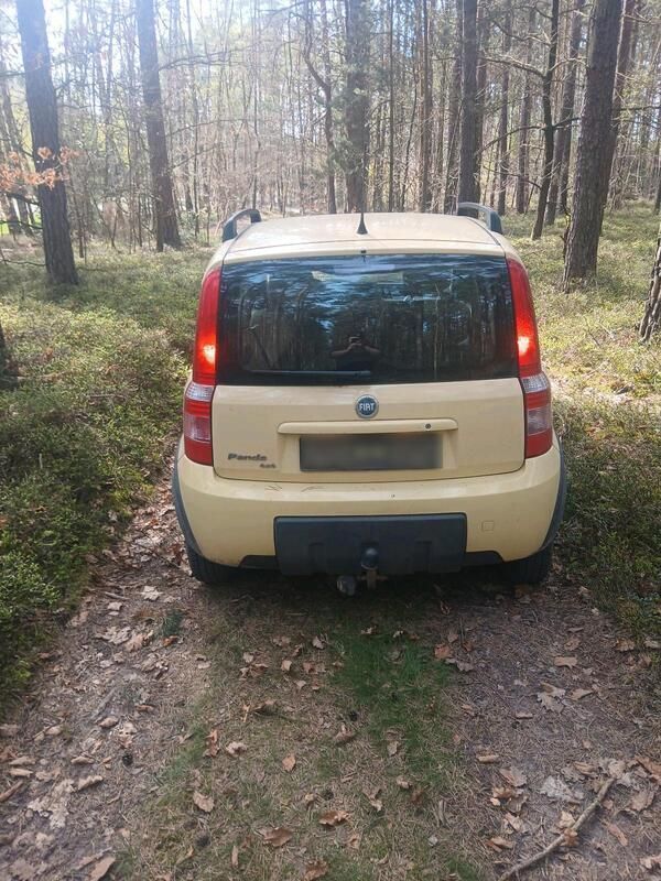 Gelb Gebraucht 2007 Fiat Panda 4x4 Kleinwagen | 1.350 € (Superpreis) - Bild 1/4